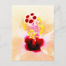 Postal Fotografía de Flor de Hibisco