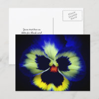 Fotografía de Flor de Pensamiento Azul Audaz 