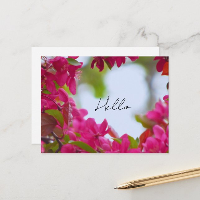 Postal Fotografía de flores de primavera (Anverso/Reverso In Situ)