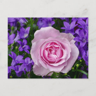 Postal Fotografía de Flores Florales de Tulipán y Rosa El