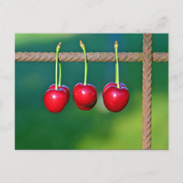 Postal Fotografía de frutas de cerezas rojas coloridas