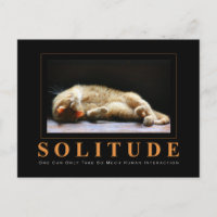 Fotografía de gato SOLITUDE anti-motivacional