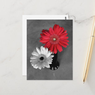 Postal Fotografía de Gerbera con Salpicadura de Color Roj