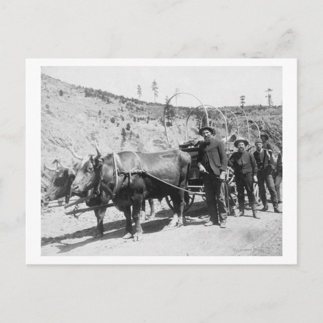 Postal Fotografía de Grupo de Prospectores de Oro (Anverso)