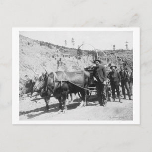 Postal Fotografía de Grupo de Prospectores de Oro