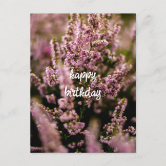 Postal Fotografía de Heather Flowers feliz cumpleaños con
