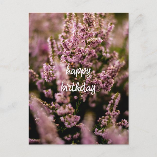 Postal Fotografía de Heather Flowers feliz cumpleaños con (Anverso)