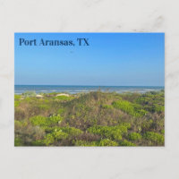 Fotografía de hierba de playa de Port Aransas Texa