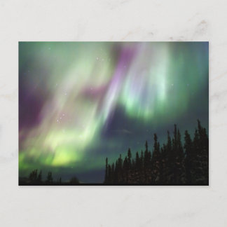 Postal Fotografía de invierno de Northern Lights Sky Peac