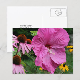 Postal Fotografía de jardín de flores de Hibiscus y amigo