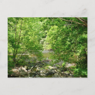 Postal Fotografía de la naturaleza de Maryland con vista 