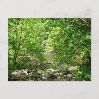 Postal Fotografía de la naturaleza de Maryland con vistas