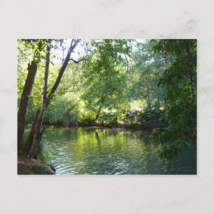 Postal Fotografía de la naturaleza de Oak Creek I en Sedo