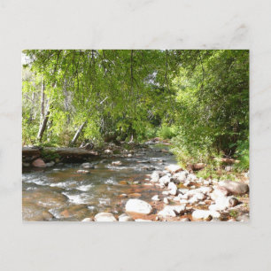 Postal Fotografía de la naturaleza de Oak Creek II en Sed