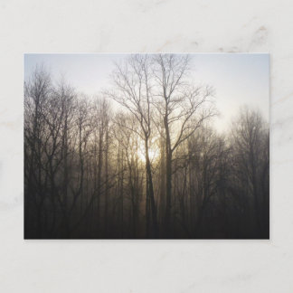 Postal Fotografía de la naturaleza del amanecer de niebla
