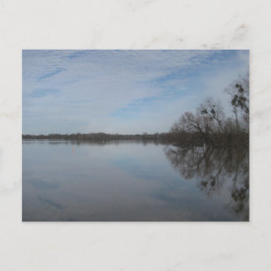 Postal Fotografía de la Naturaleza en Prattville Alabama