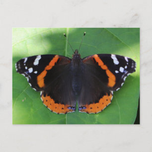 Postal Fotografía de la Naturaleza para Amantes de Jardin