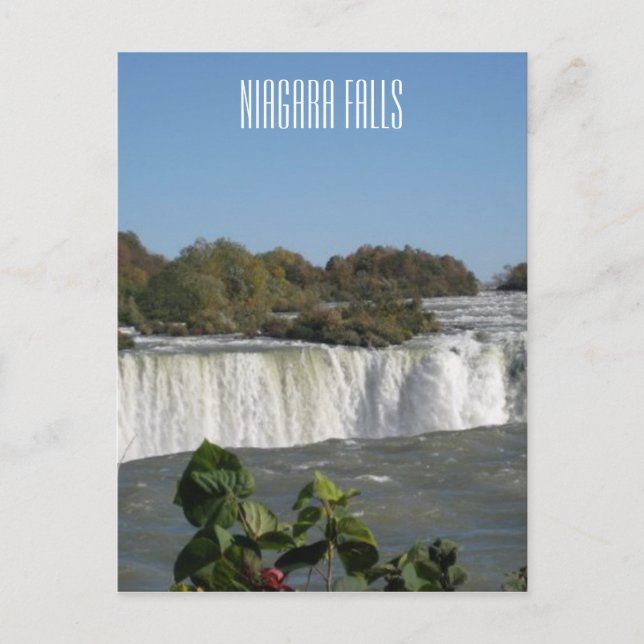Postal Fotografía de las cataratas del Niágara (Anverso)