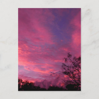 Postal Fotografía de los Cielos Azules de Amanecer Rosa y