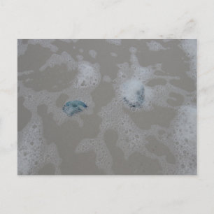 Postal Fotografía de medusas en la playa de oleaje del oc