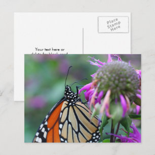 Postal Fotografía de Naturaleza de Mariposa Monarca