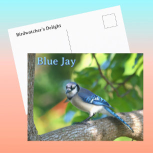 Postal Fotografía de naturaleza personalizable de arrenda