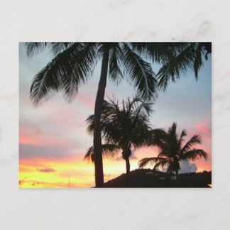 Postal Fotografía de paisajes tropicales de palmas de sol