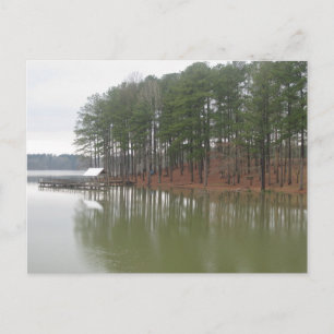 Postal Fotografía de Paisajes y Reflejos en Tupelo Lakesi
