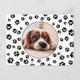 Postal Fotografía de "Pawprints Puppy"