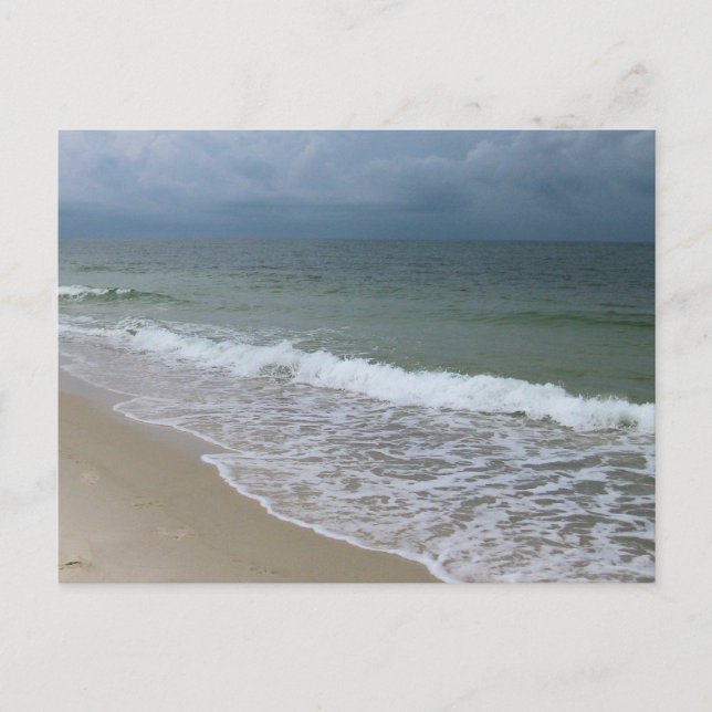 Postal Fotografía de Playa en Gulf Shores Alabama (Anverso)