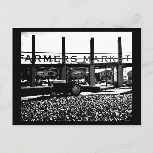 Postal Fotografía de Postcard-Dallas-12 (Anverso)