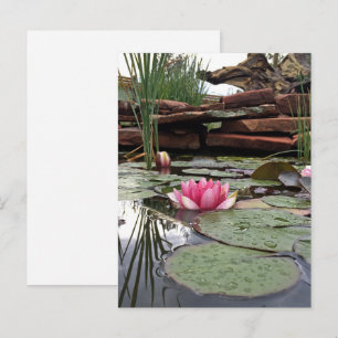 Postal Fotografía de reflejos de nenúfares rosados