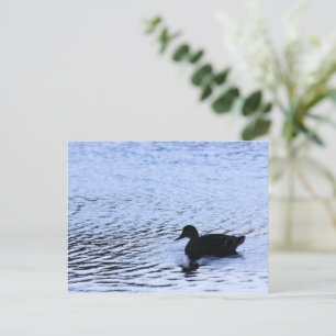Postal Fotografía de rizos de agua del lago de vida silve