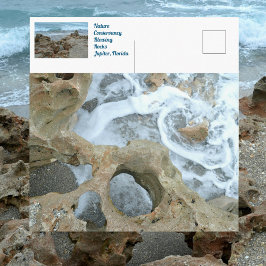 Postal Fotografía de Rocas Flores Júpiter Florida