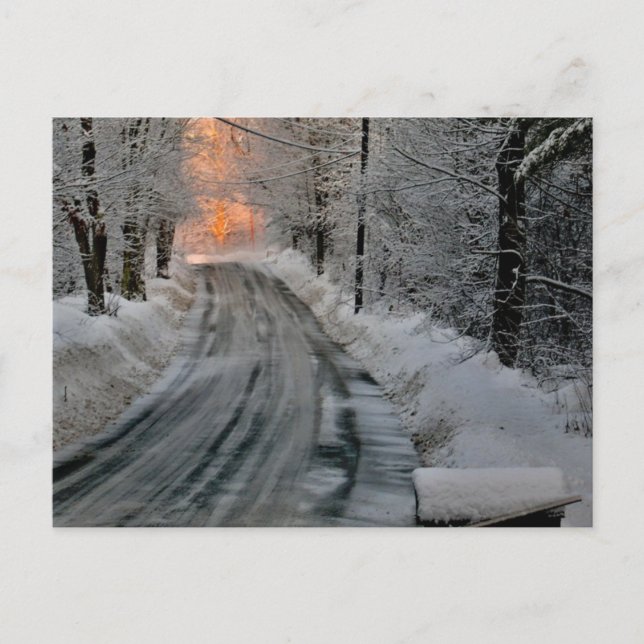 Postal Fotografía de sol matutino de invierno (Anverso)