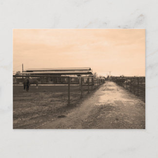 Postal Fotografía de tono sepia