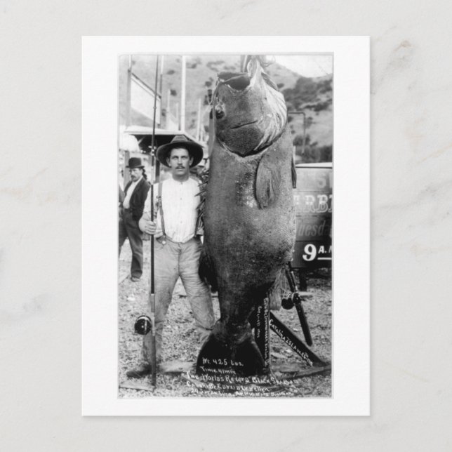 Postal Fotografía de un hombre con pescado gigante (Anverso)