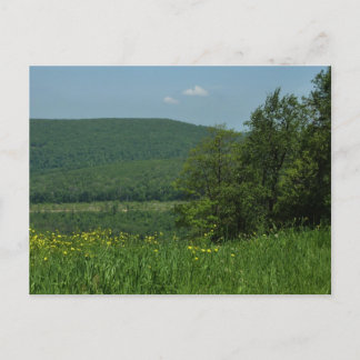 Postal Fotografía de verano de Laurel Highlands Pennsylva