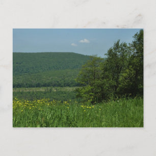 Postal Fotografía de verano de Laurel Highlands Pennsylva