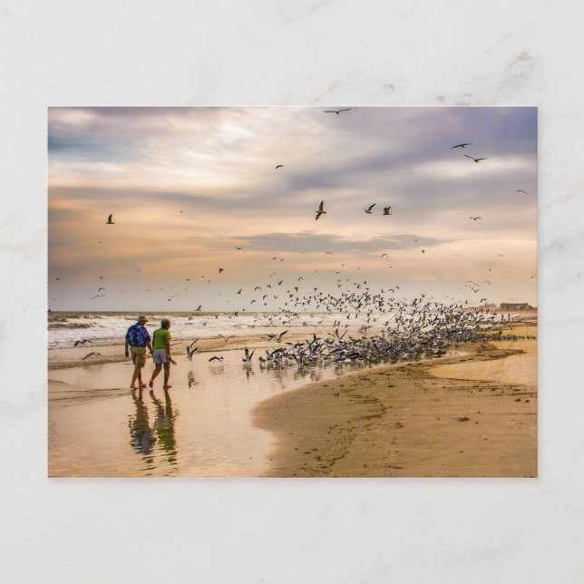 Postal Fotografía de viaje en una playa de Florida (Anverso)