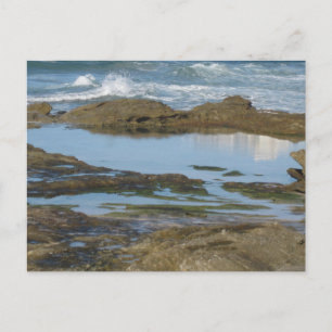 Postal Fotografía de viaje original de Cronulla Australia