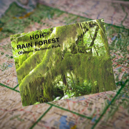 Postal Fotografía de viaje por el bosque de Hoh Rain