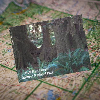 Postal Fotografía de viaje por el bosque de Hoh Rain
