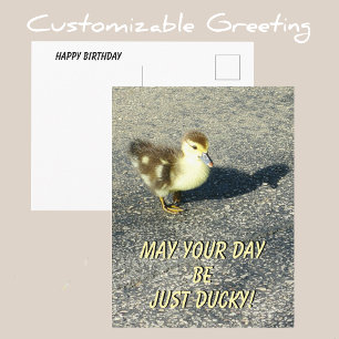 Postal Fotografía de vida silvestre cumpleaños feliz pati