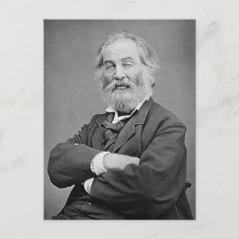 Postal Fotografía de Walt Whitman sentada en un retrato d