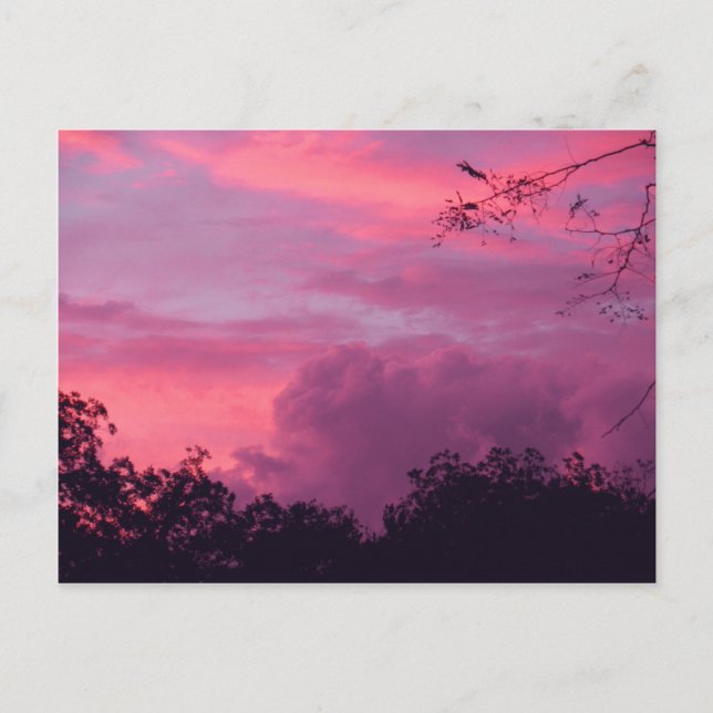 Postal Fotografía del cielo azul rosa y morado de la pues (Anverso)