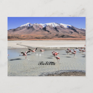 Postal fotografía del paisaje de Bolivia con flamencos