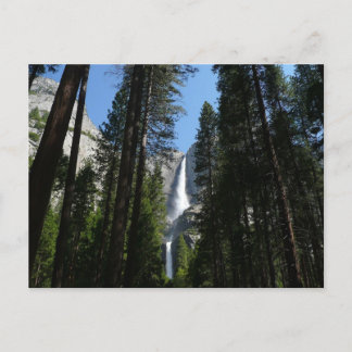 Postal Fotografía del paisaje de Yosemite Falls y bosques