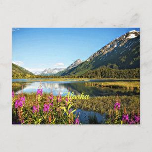 Postal Fotografía del paisaje escénico de Alaska