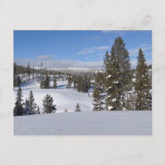 Postal Fotografía del paisaje invernal de Yellowstone
